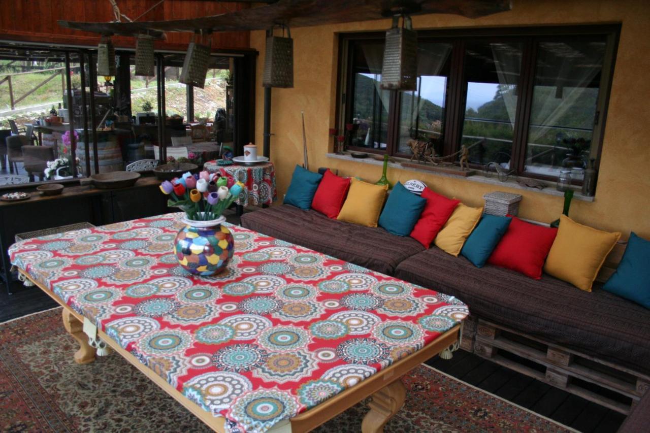 Aloe Ranch Elba