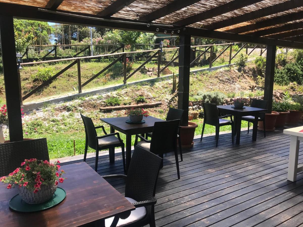 Bed & Breakfast Aloe Ranch Elba *