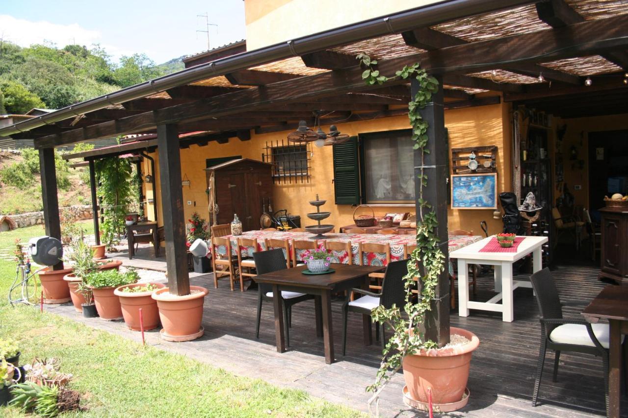 Aloe Ranch Elba