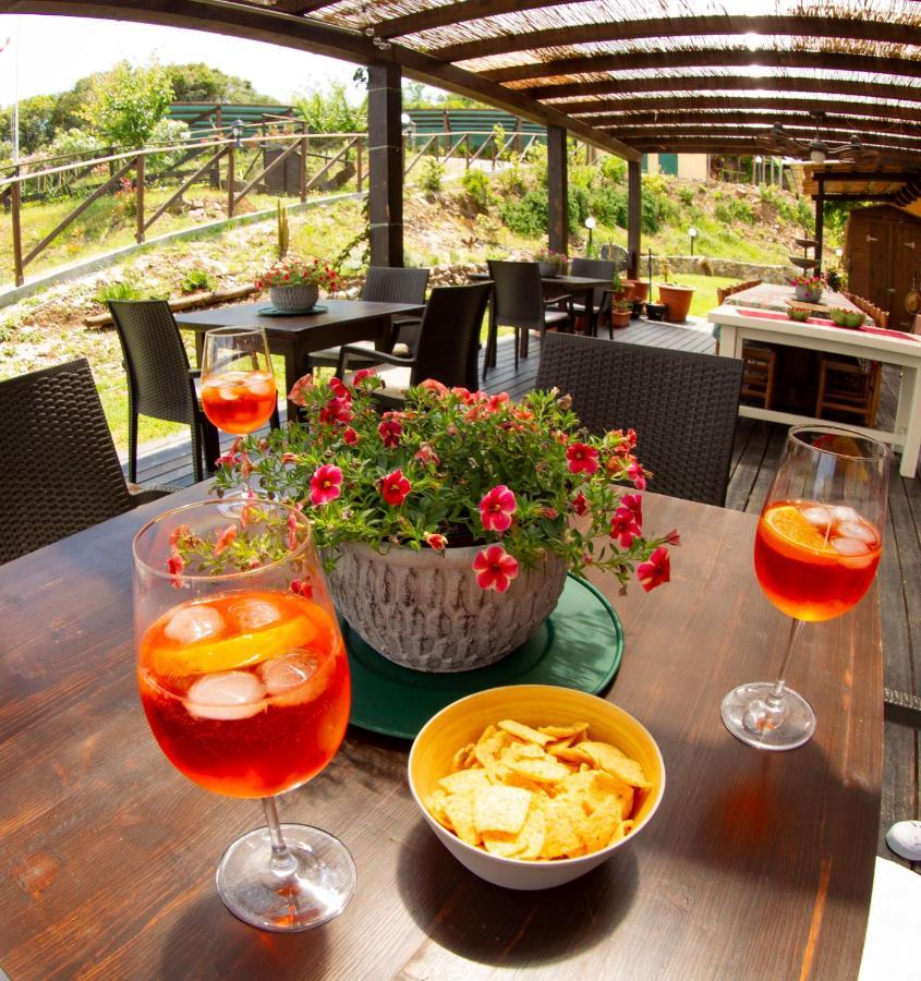 Aloe Ranch Elba Bed & Breakfast *